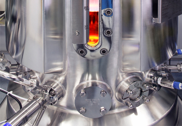 Mikrobe des Jahres 2015 Mikrobe des Jahres 2015